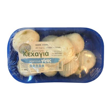 930a3b59-868a-4d68-b2b0-2eaa58727258