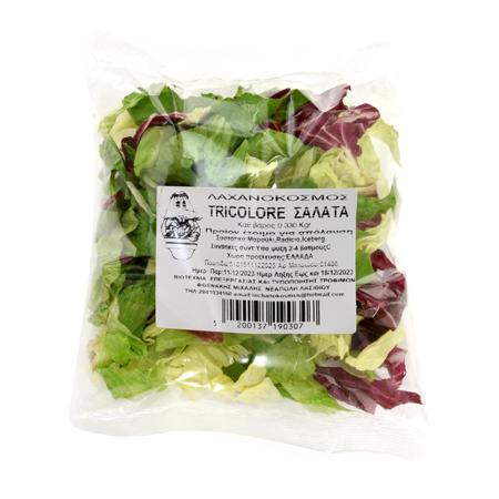 95137389-da40-4ae4-9a0a-9f1774ec1c96