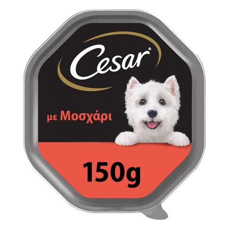 98d6dc10-6c8f-4a8c-a1a7-6c71622c1c61