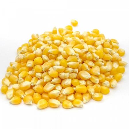 9c64885c-e787-49e3-a019-0689b2a004fa