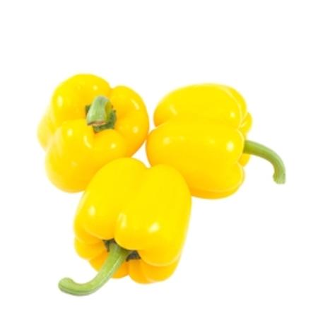 9c74c257-1c2b-4b6b-9cba-f14e2b2b28af