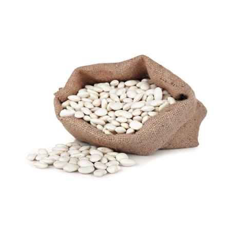 9e81f38a-2662-4fd2-b447-9123bd870efe