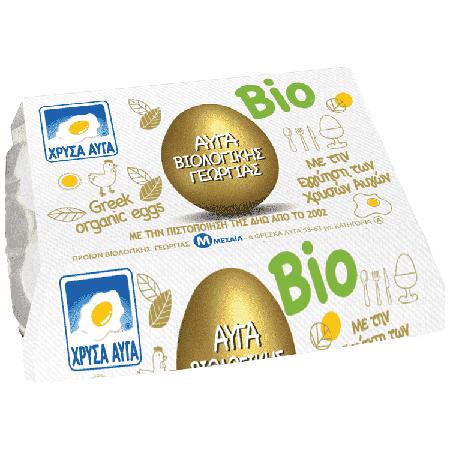 a1b70602-616e-4c4b-a001-634e038bb446