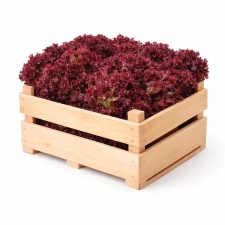 a2ea1996-ac5d-4a76-8310-9fe9dbdffa97