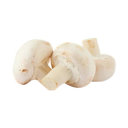 a31eb965-1f97-452f-8a1b-eb7878ed1ea4