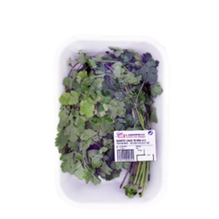 a7e67382-c981-4c2c-b00b-48564b862174