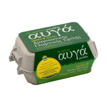 ad49724f-dbd1-4dc1-870f-4af269c92283