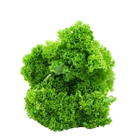 afc74913-bc65-4456-b1c8-18d07097d83d