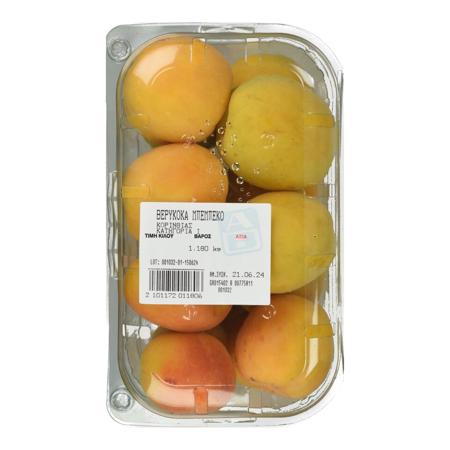 b1ad5085-e4da-42a2-bac8-cea9106af571