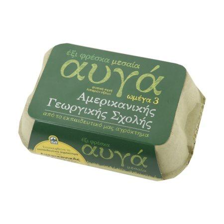 b1f1aa99-17cd-48e2-ad03-0a873916f7ca