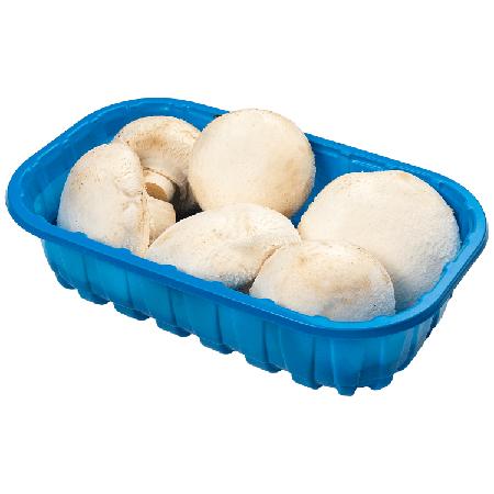 b314332b-0994-4a02-a5ee-8e08790203eb