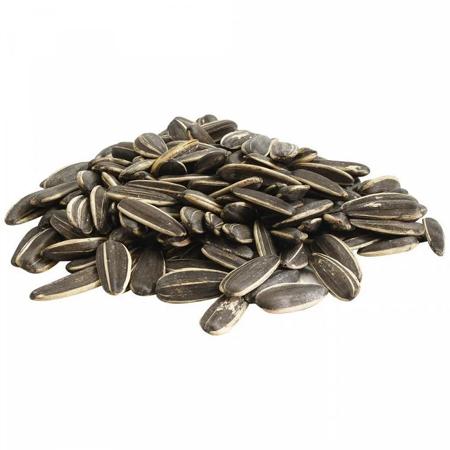 b31d4e18-063b-4750-a5dd-24771fdb06a2