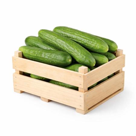 b7106cb1-abba-463a-9d7a-c323ff1d1088