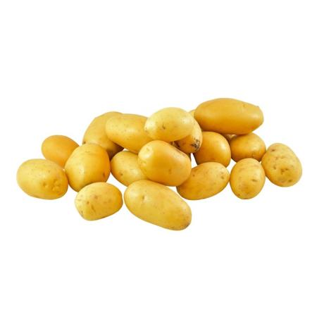 b7fdac95-0acd-470a-a258-715b47cbcd04