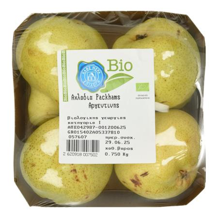 b8cb000a-2498-4458-9f63-09652a5e35be