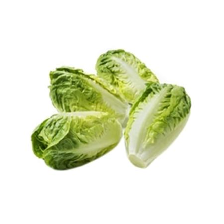 bb950b5c-e2f6-4acf-97cd-161dba5e5ce9