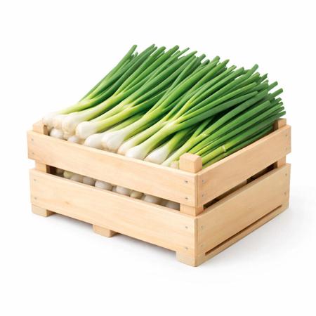 bc5c036f-d5f8-47e4-bad3-31b503f0742a