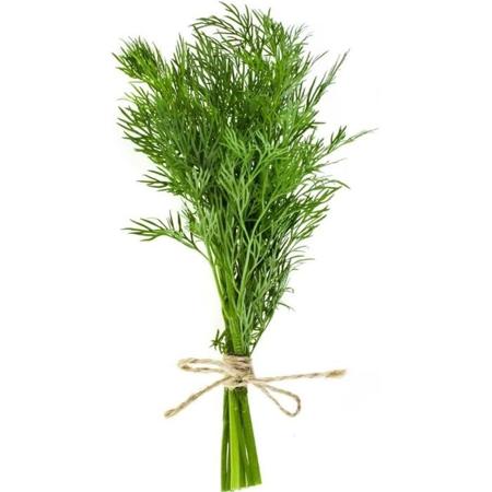 c06d67b6-9994-4d8c-af2e-06ad2fcddee7