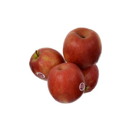 c17c39cb-934c-43fa-88ea-93a171948a4e