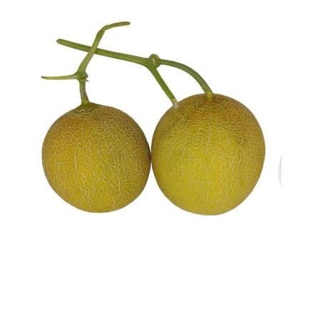 c3168539-123b-4484-acbb-9e7c79bd747a