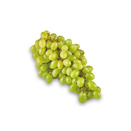 c369c698-3f74-4a0e-92db-b26493a22e67