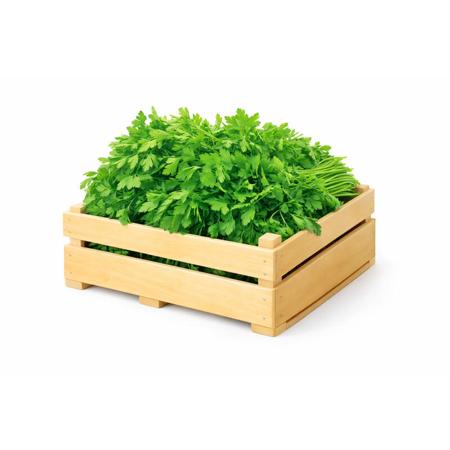 ca03dc5a-5d3c-4b25-bff9-cf77e6fb7360