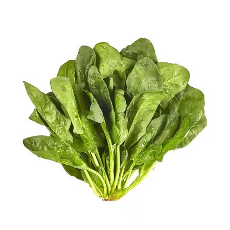 ce54d0ae-cb42-47cd-a245-850bab1a23e3