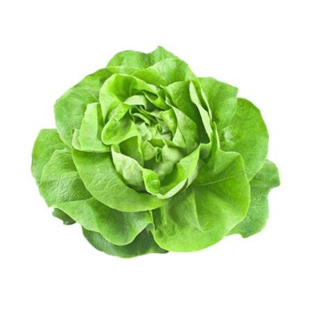 d02b2f5e-854f-4b26-b1d6-c7310e9ede2f