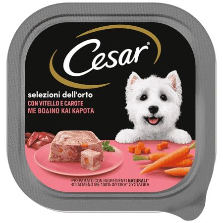 d3e4480f-aad3-4e08-ac06-99ac108c3668