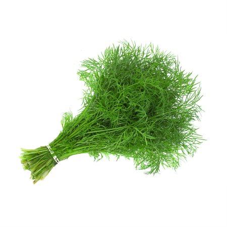 d90f1062-be7a-44fc-bd68-370abe11c8cc