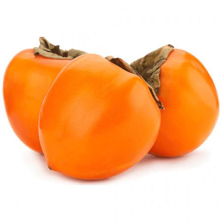 d9a5841b-017f-4cec-bbd1-f346b52a9479