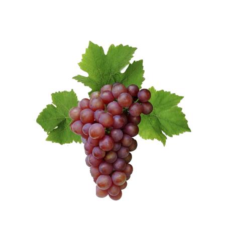 d9d45c80-f166-42af-9c64-81b7f09afc81