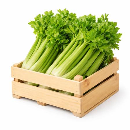 da7ab82a-184f-4691-b688-ef9ce8507ab1