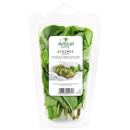 dae21939-d898-4449-8ed4-884544257381