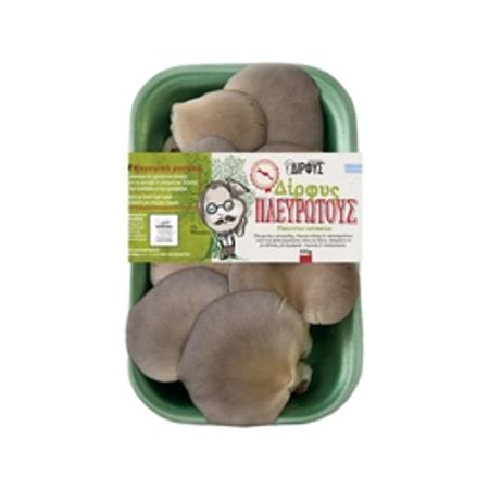 daf13be5-1fc0-4f7b-ab0e-935c0ea096c8