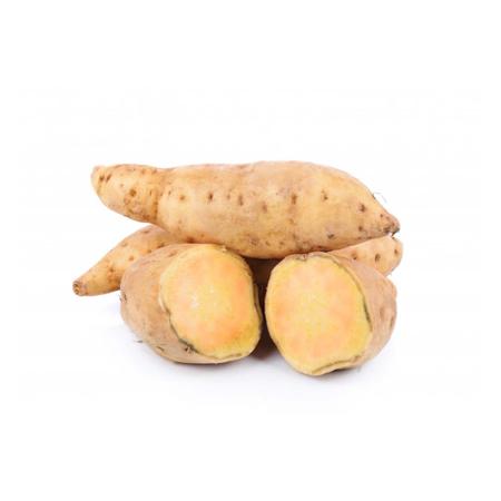 db35497f-06c4-4db4-86a2-9125f752c3ab