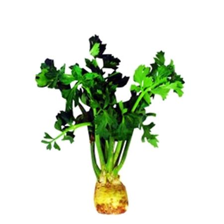 db610f71-cfa2-402f-8193-885be7eaf3ca