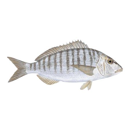 ddd9356b-e5db-4e0a-8f00-deda29db31ad