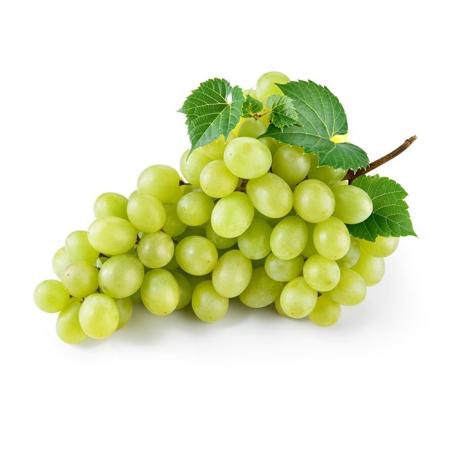 e1acb80e-69ab-4db3-a6c1-c16cb8bc0157