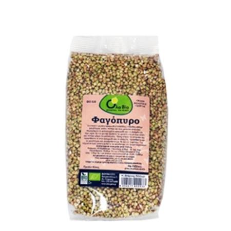 e38506a0-3188-4ca7-a1c3-f6f2fed67420