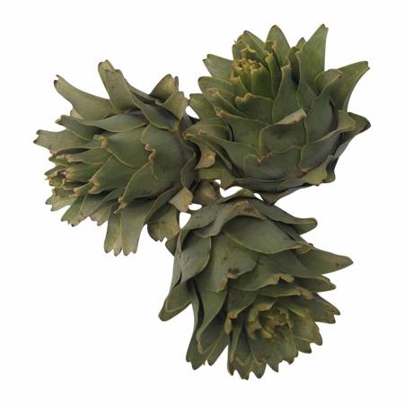 e38fbda7-d42e-47b8-807e-bc1cd260f92a