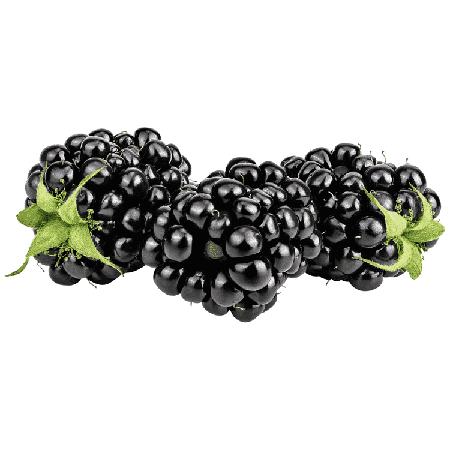 e415b505-939e-4dce-a89b-c6da0025536c