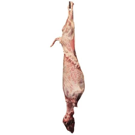 e6c3389b-8ec1-481e-9611-b41810492aad