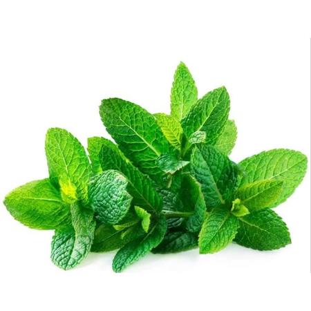 e6d555ae-6756-43ae-847e-a3fe4777353e