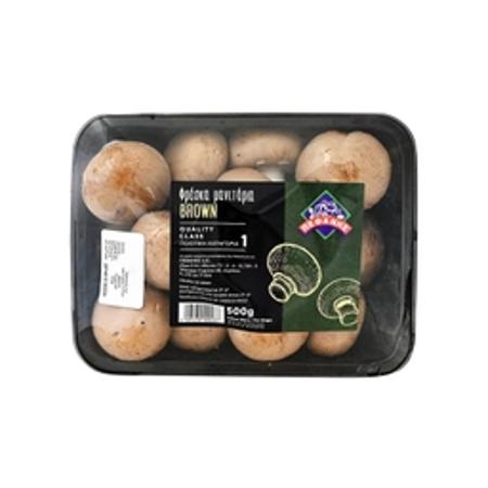 e6d558b1-738c-43a6-aa55-4df7dcd75d0d