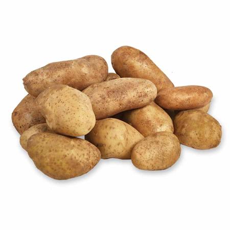 e96fab17-d1dd-44d2-b5d9-61f9ed52782c