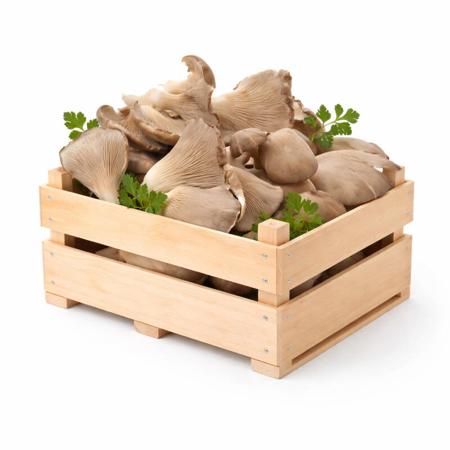 ea6d2f9d-993a-424e-a4ac-394e1da1255b