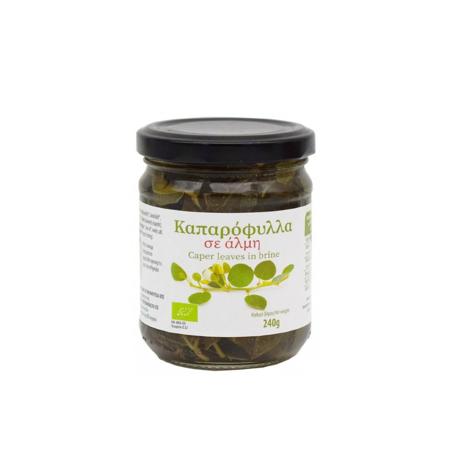 eb4ecd5d-0d08-4b2c-a77d-b7bf67633215