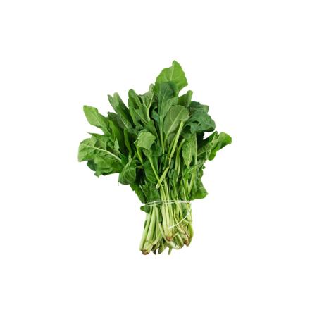 ee7aae98-f959-4636-b371-fe90560d4ad5