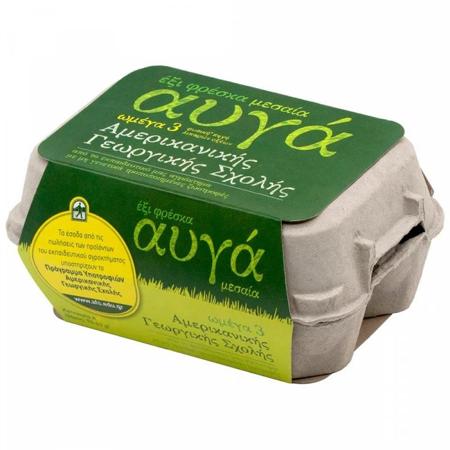 ef9b903a-0cd7-449b-b5ba-14f012eecca6